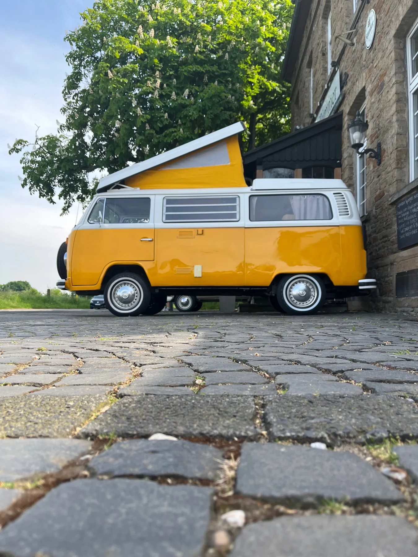 VW Fotobulli Chantal